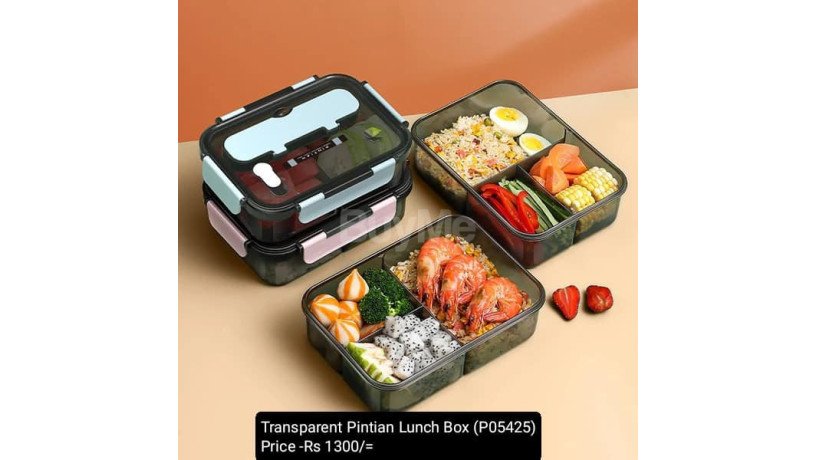 transparent-pintian-lunch-box-big-0