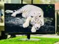 lenovo-ips-24-inch-frameless-monitor-small-0