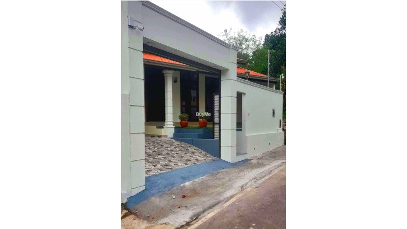 brand-new-single-storey-house-for-sale-in-kottawa-big-0