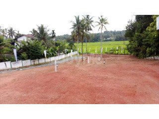 LAND FOR SALE IN WELIVERIYA - RAN NIYARA BY SAVI LANDS