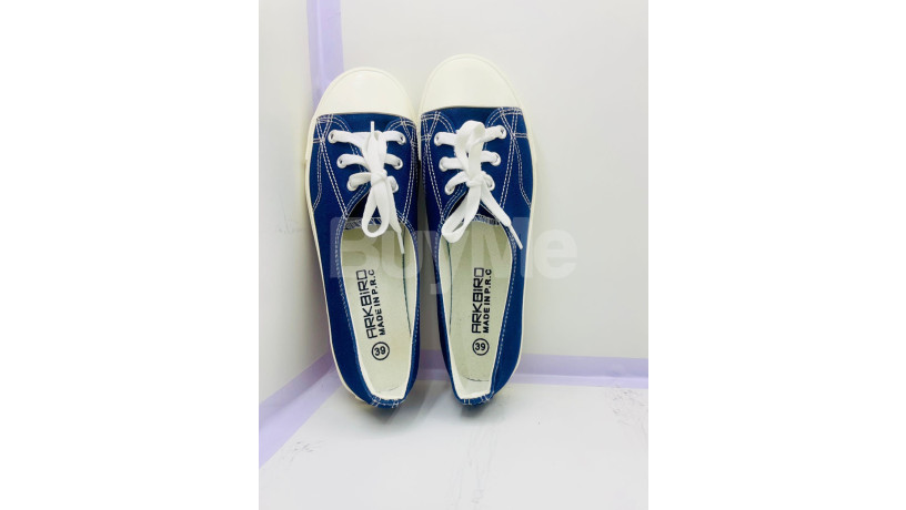 ladies-shoes-big-0