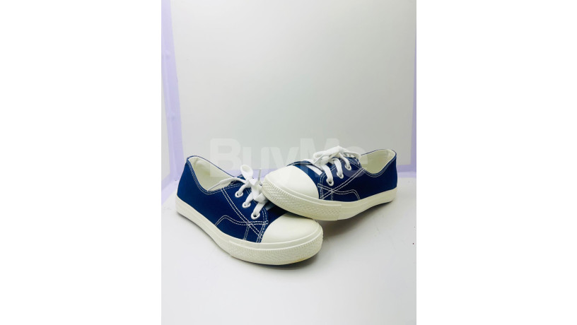 ladies-shoes-big-1