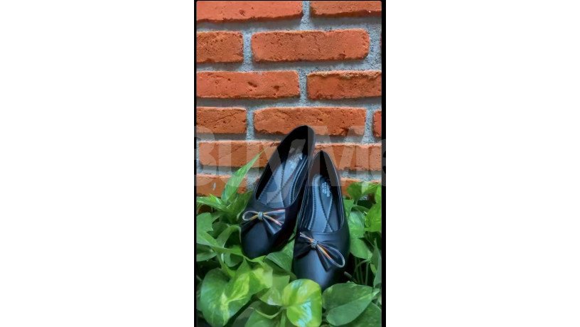 ladies-coats-shoe-big-1