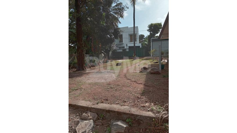 valuable-land-for-sale-in-kapuwatta-station-road-ja-ela-big-3