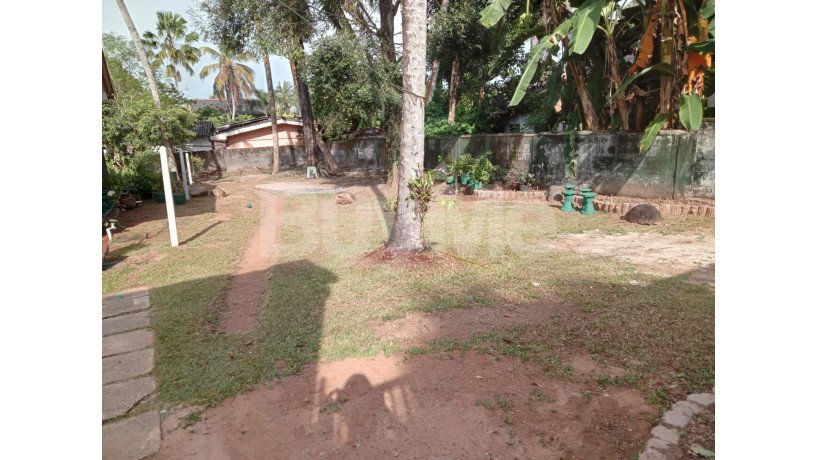 valuable-land-for-sale-in-kapuwatta-station-road-ja-ela-big-2