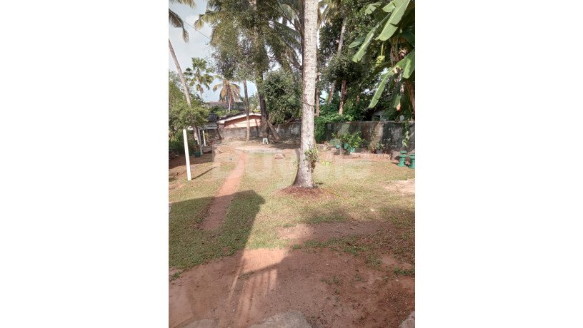 valuable-land-for-sale-in-kapuwatta-station-road-ja-ela-big-4