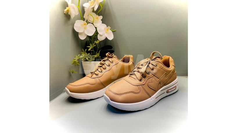 ladies-shoes-brown-big-2