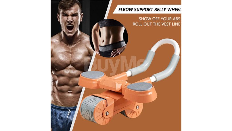 2-in-1-abdominal-wheel-with-timer-big-0