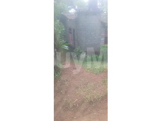 LAND WITH HOUSE FOR SALE IN PADUKKA