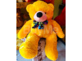 4ft-teddy-bear-small-6