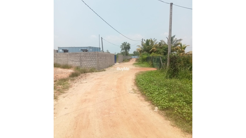 land-for-sale-in-pamunugama-big-4