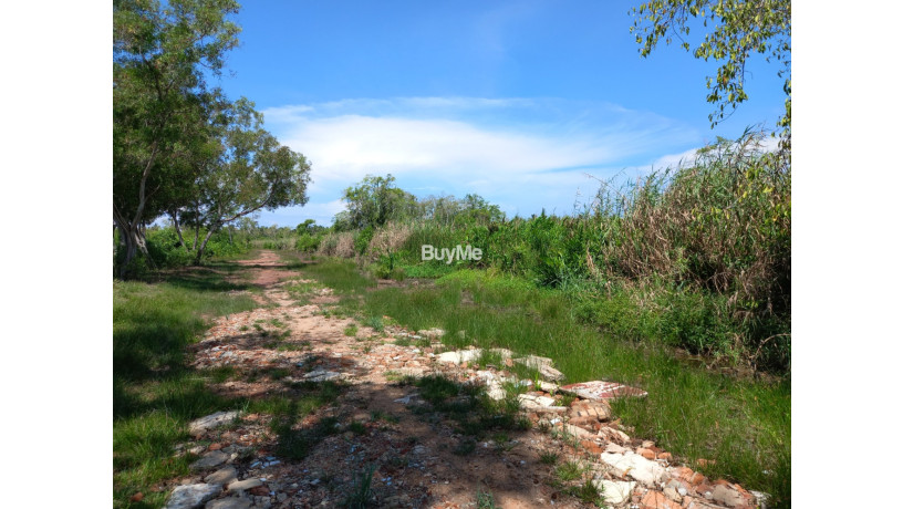 land-for-sale-in-pamunugama-big-3