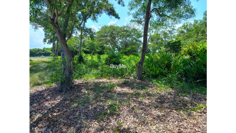 land-for-sale-in-pamunugama-big-2