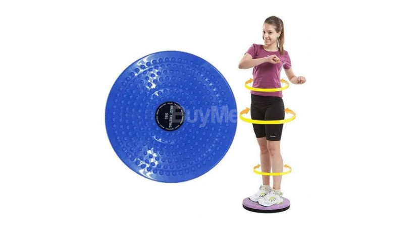 twist-waist-disc-fitness-board-big-0
