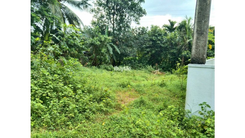 land-for-sale-in-kiribathgoda-makola-daluggala-big-2