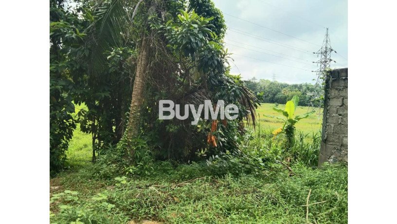 land-for-sale-in-kiribathgoda-makola-daluggala-big-5