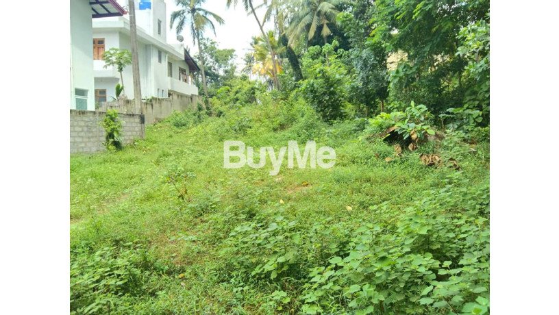 land-for-sale-in-kiribathgoda-makola-daluggala-big-1