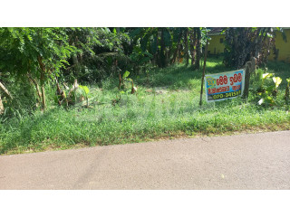 වෙන්නප්පුවෙන් අගනා ඉඩමක් ඉක්මණින් විකිණීමට