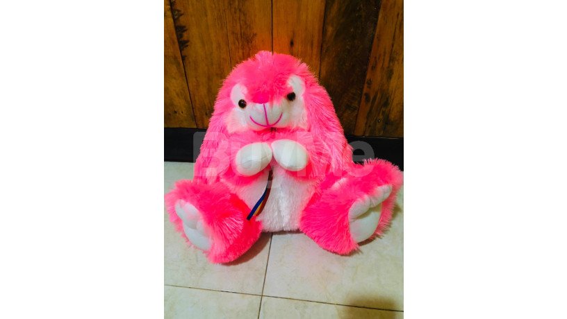 l-rabbit-big-0