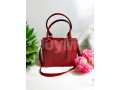 handbag-designs-ladies-handbag-small-0