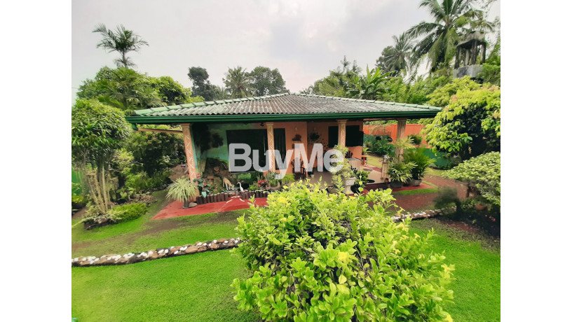 luxurious-house-with-a-green-garden-for-sale-in-panadura-big-0