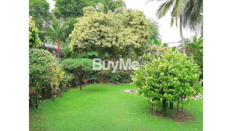 luxurious-house-with-a-green-garden-for-sale-in-panadura-big-6