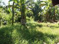 land-for-sale-with-house-at-polgahawela-small-4