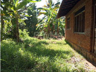 LAND FOR SALE WITH HOUSE AT POLGAHAWELA