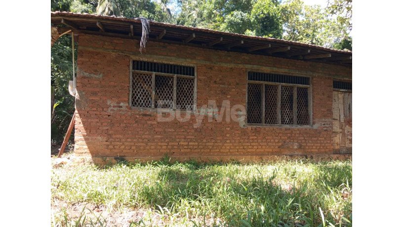 land-for-sale-with-house-at-polgahawela-big-2