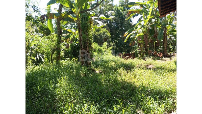 land-for-sale-with-house-at-polgahawela-big-4