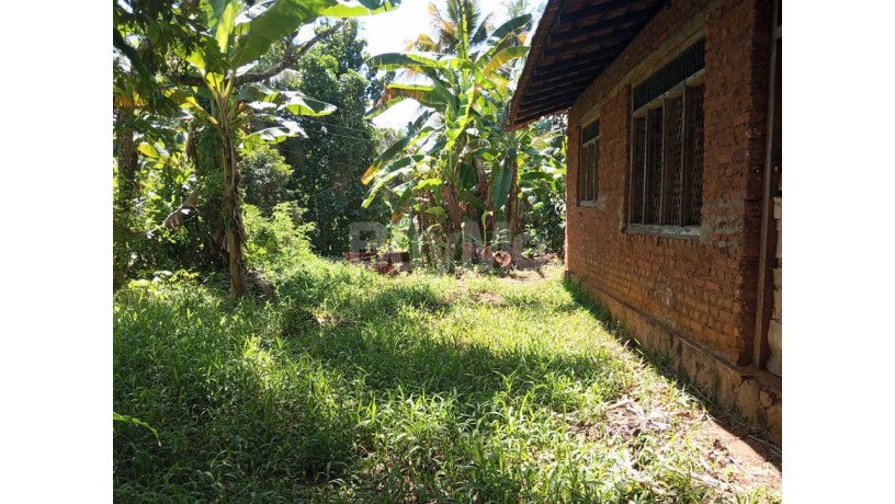 land-for-sale-with-house-at-polgahawela-big-0