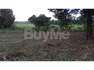 LAND FOR SALE IN GAMPAHA