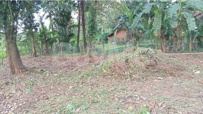 land-for-sale-in-gampaha-big-3