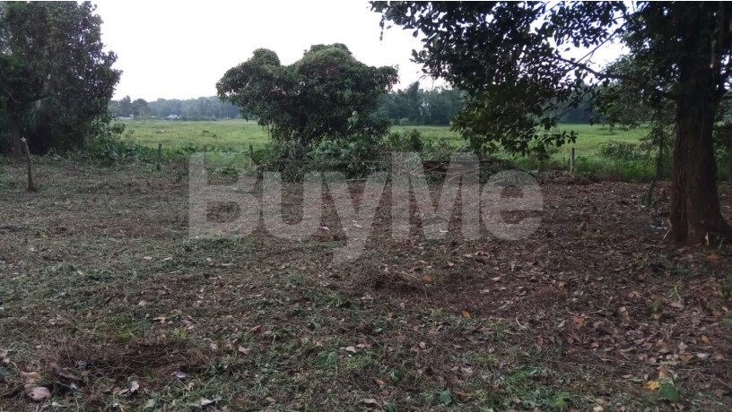 land-for-sale-in-gampaha-big-0