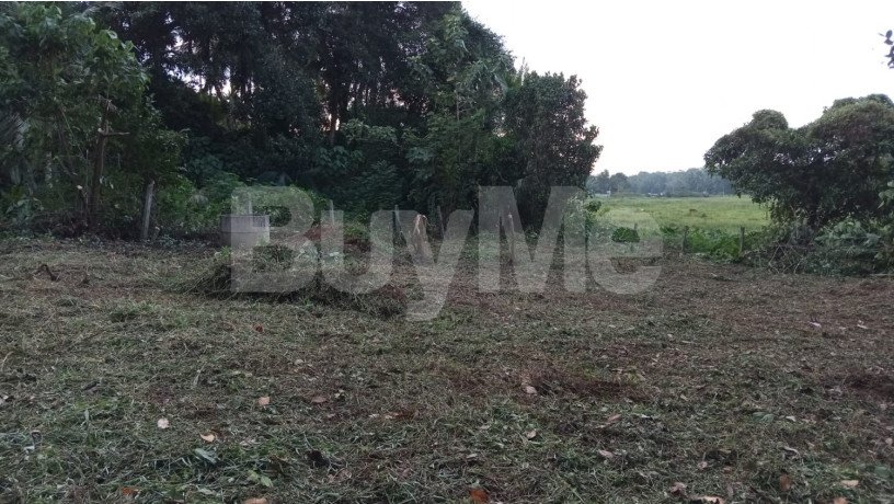 land-for-sale-in-gampaha-big-4