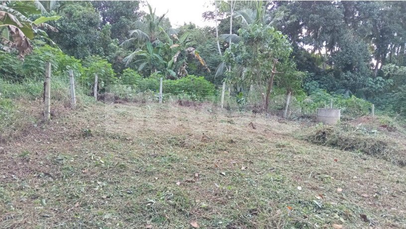 land-for-sale-in-gampaha-big-2