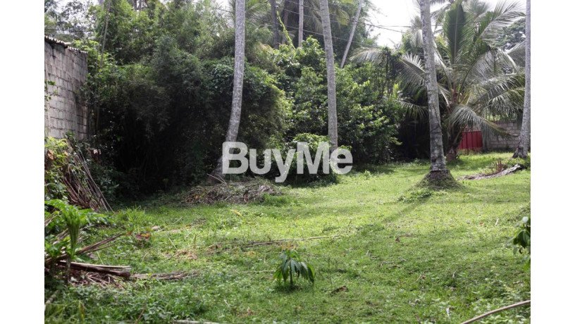 antique-house-for-sale-in-weligama-big-7