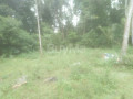 lkr-10-small-0