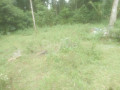 lkr-10-small-3