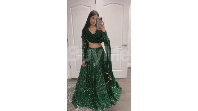 green-chikankari-lehenga-big-3