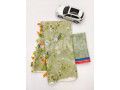 linen-saree-with-digital-print-small-0