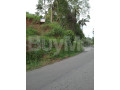 land-for-sale-in-pilimatalawa-small-0