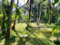 valuable-land-for-sale-in-veyangoda-small-0
