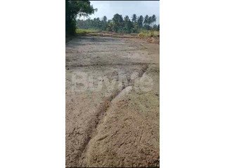 LAND FOR SALE IN DAMBULLA