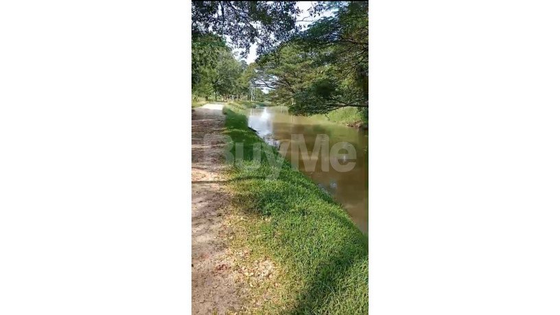 land-for-sale-in-dambulla-big-4