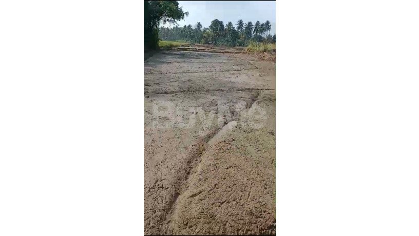 land-for-sale-in-dambulla-big-0