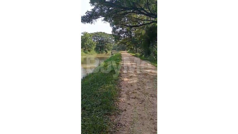 land-for-sale-in-dambulla-big-3