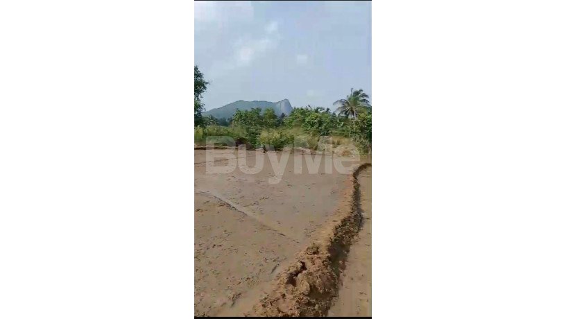 land-for-sale-in-dambulla-big-1