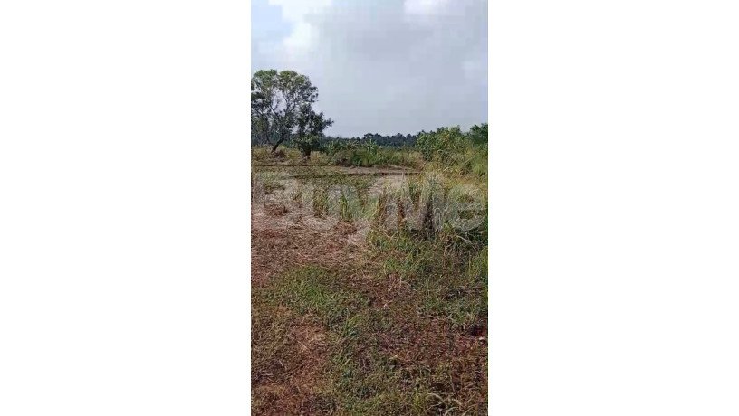 land-for-sale-in-dambulla-big-2