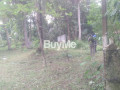 2-land-blocks-of-20-perches-to-sale-about-400m-to-rodeegama-road-small-4